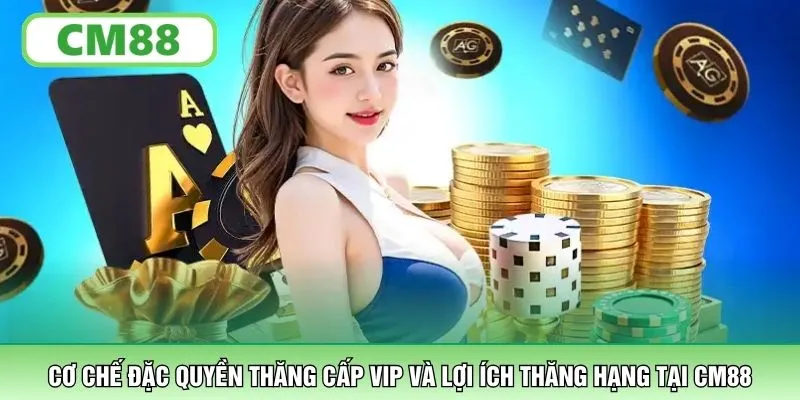 Cơ chế đặc quyền thăng cấp VIP và lợi ích thăng hạng tại CM88